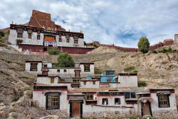 Wall Mural - Tibet houses with Gyantse Fortress above, Gyantse County, Tibet, China