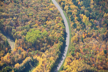 Wall Mural - aerial view of curving road in northern minnesota on a sunny autumn day