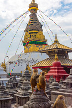 Monkeys On Stupas At Swayambhunath, Kathmandu, Nepal