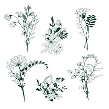 Set Of Tiny Hand Drawn Floral Elements