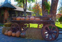 Decorative Wooden Cart Of Pumpkins Outdoors. Halloween Or Thanksgiving Concept
