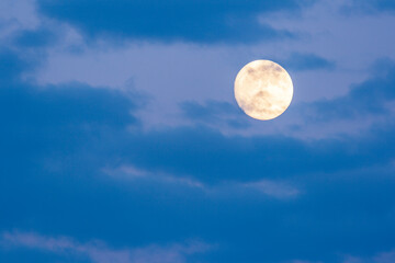 Wall Mural - Full moon in dusk sky.