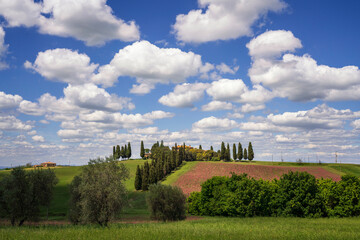 Sticker - Europe, Italy, Tuscany. Large farm in the Val d' Orcia.