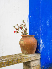 Canvas Print - Portugal, Obidos. Plant in a terracotta pot on stone bench.