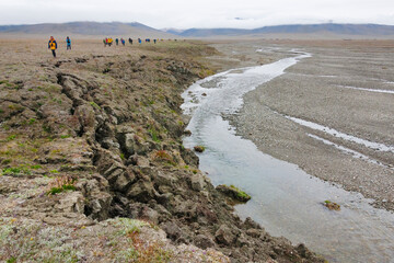 Wall Mural - Tourists hiking on Wrangel Island, Chukchi Sea, Russia Far East