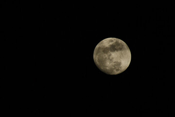 Wall Mural - Full moon on a black background