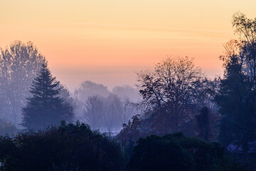 Poster - Silhouette shot of trees during a breathtaking sunset