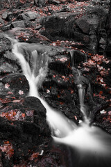 Canvas Print - Waterfall flowing over the rocks during autumn