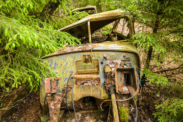 Poster - Sweden, Smaland, Ryd, Kyrko Mosse Car Cemetery, former junkyard now pubic park, junked cars