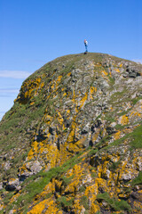 Poster - Tourist on top of a hilltop covered by lichen, St Abb's Head National Nature Reserve, Scotland, UK