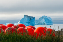 Red Buoys On The Beach With Floating Iceberg In The Fjord, Qeqertarsuaq, Greenland