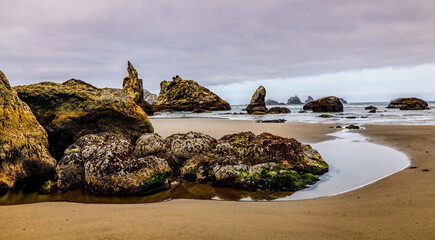 Sticker - USA, Oregon, Bandon, Beach Scenic