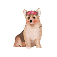Cute Illustration With A Welsh Corgi Dog With A Wreath Of Pink Flowers On His Head