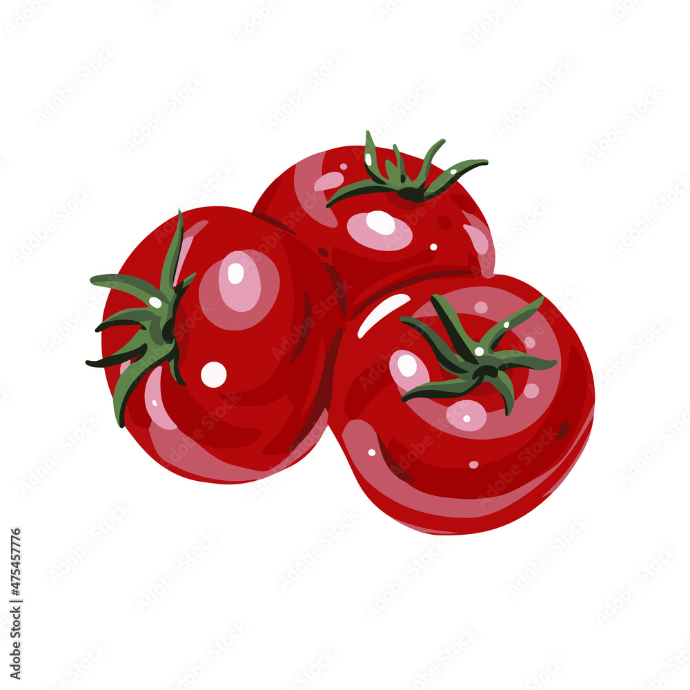 Red tomato hand drawn colorful sketch. Realistic vector illustration ...