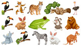 Fototapeta Dziecięca - Set of different wild animals cartoon characters