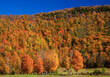 USA, New England, Vermont, Fall