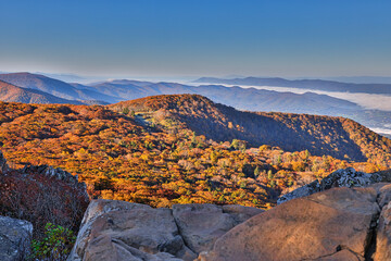 Sticker - USA, Virginia, Shenandoah National Park, fall color in the park