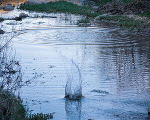 Large splash from a rock in a pond