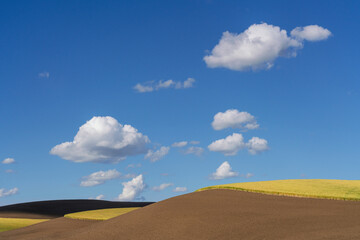 Sticker - USA, Washington, Palouse. Contrast of wheat field and barren land.