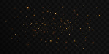 Golden Glitter Of Light. Defocused Particles. Isolated On Black. Overlay. Vector 10 Eps