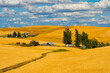 © Danita Delimont - Clouds above farm house on wheat field, Palouse, eastern Washington State, USA