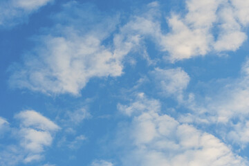 Wall Mural - summer blue sky covered with fluffy white cumulus clouds.
