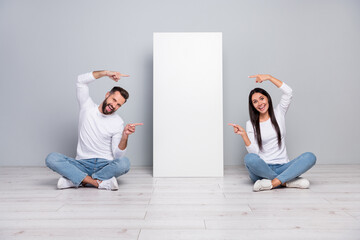 Sticker - Portrait of attractive cheerful couple demonstrating new novelty copy blank space ad isolated over grey pastel color background