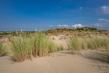 Canvas Print - De Panne