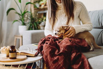 Cozy woman in knitted winter warm sweater with chihuahua dog and checkered plaid, candle and book during resting on couch at home in Christmas holidays. Winter indoors decoration and plants