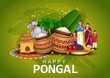 South Indian Harvesting Festival, Happy Pongal Celebrations Greetings With Pongal Elements, Sugarcane And Plate Of Religious Props. Vector Illustration Design