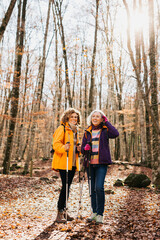 Wall Mural - Two senior female friends hiking together through the forest in autumn