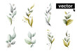 © kaer_fstock - Set of herbal branches. Clear vector green and dim leaves, and flowers.