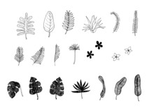 手描きの観葉植物などの葉っぱのパーツ　モノクロで背景透過　ラフにインクで書いたようなタッチ