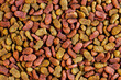 Top view of brown kibble pieces of dry cat food as a textured pattern.