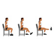 Woman doing leg extensions on chair at home exercise. Flat vector illustration isolated on white background