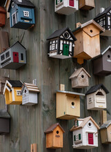 Closeup Shot Of Birds Houses On The Wall