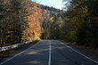Empty road in autumn mountain forest