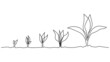 © MichiruKayo - Phase of plant life continuous one line drawing minimalist illustration from seed and leaves