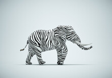 Elephant With Zebra Skin On Studio Background. Be Different And Mindset Change Concept.