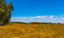 Summer Landscape With Dry Yellow Grass, Shrubs, Trees And Blue Sky With White Clouds