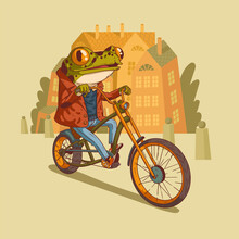 Glad Hipster Frog On A Bike, Vector Illustration. Anthropomorphic Frog. Cheerful Trendy Dressed Frog Riding A Chopper Bicycle Against Town Buildings. Animal Character With Human Body. Furry Artwork