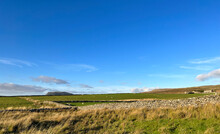 Late Autumn Day Landscape, With Dry Stone Walls, Farms, And The Pen-y-ghent Peak, In The Distance Near, Settle, UK
