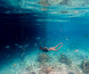 Canvas Print - Female diver swiming with colorful fish underwater in the ocean