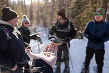 Man Feeding Bird From Hand On Winter Hike