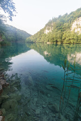 Wall Mural - Crystal clear turquoise water with fish in lake at Plitvice National Park, Croatia