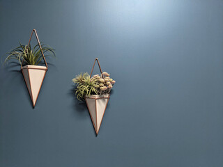 Poster - Hanging triangle shape pot with plants on a blue background wall.