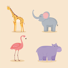 Poster - exotic animals group