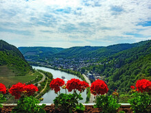 Aerial View Of The Town Of Cochem On The Moselle With Flowering Geraniums In The Foreground