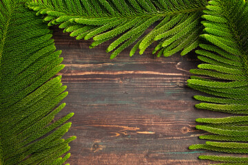 Aufkleber - Christmas pine branch on wooden table background