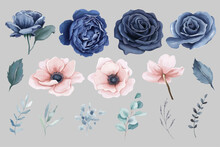 Watercolor Navy Blue Roses And Peach Anemones Flowers Elements